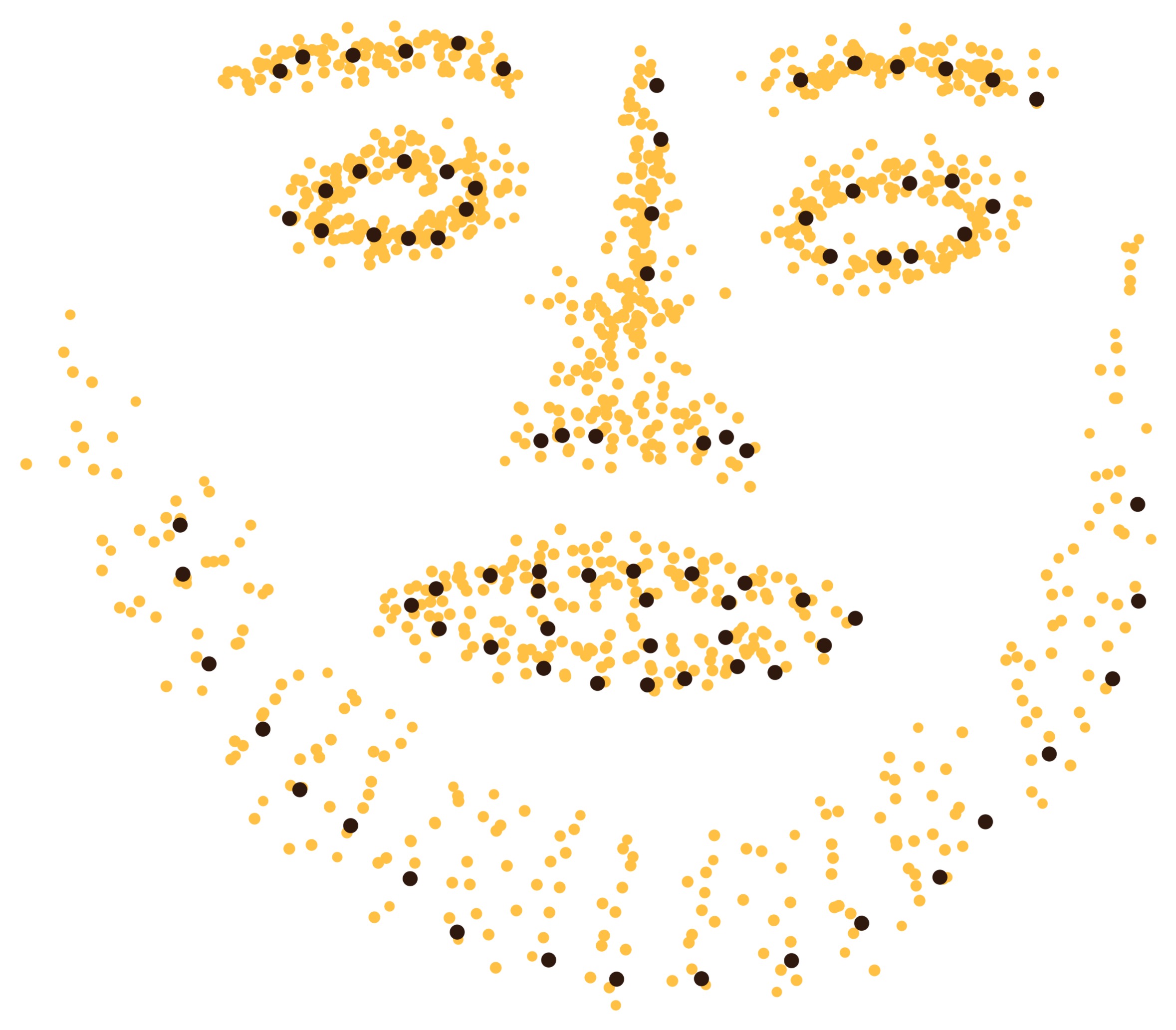 Illustration des points de repère faciaux détectés par IA