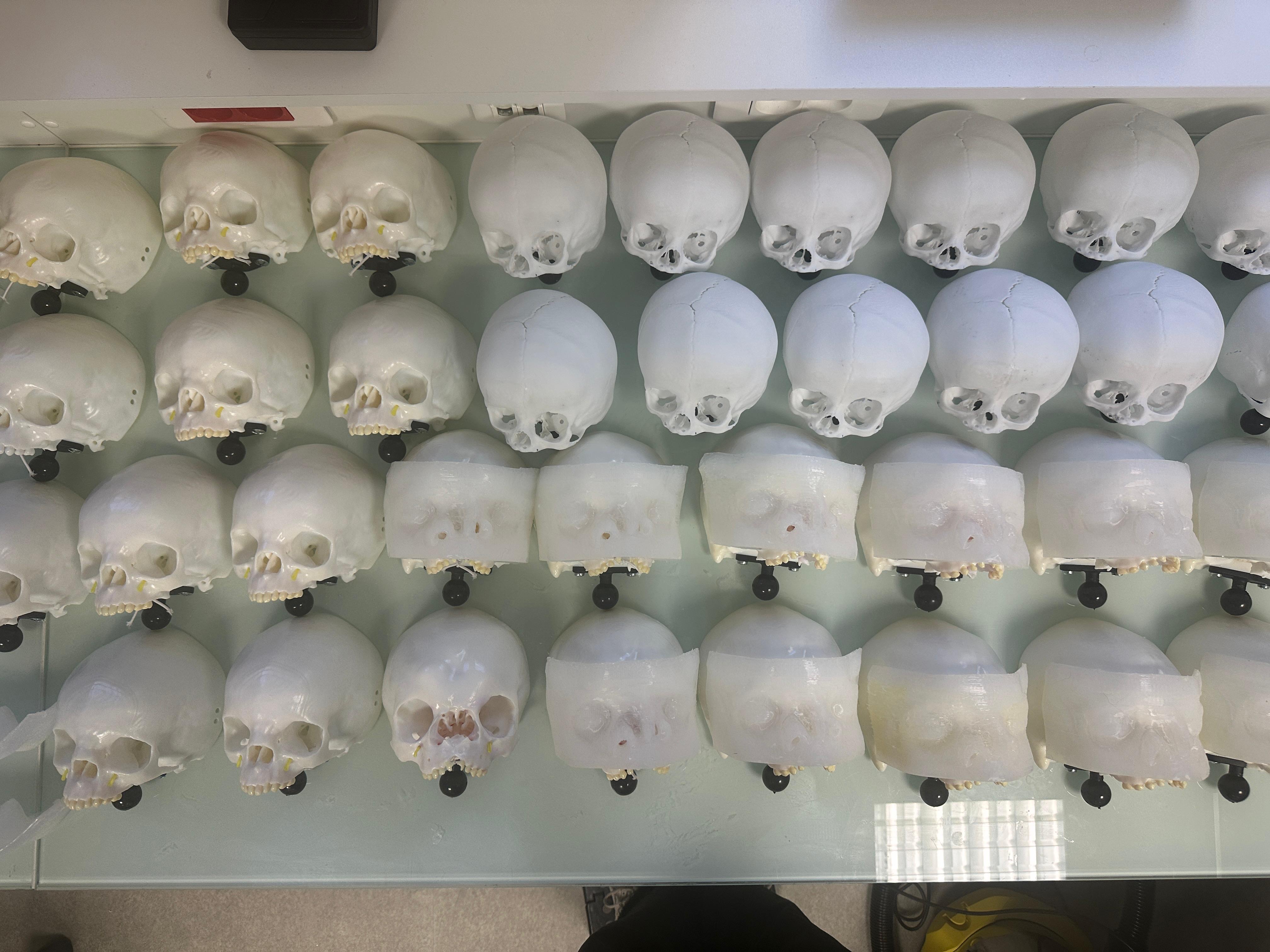Modèles imprimés en 3D pour l'entraînement pratique