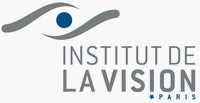 Institut de la Vision